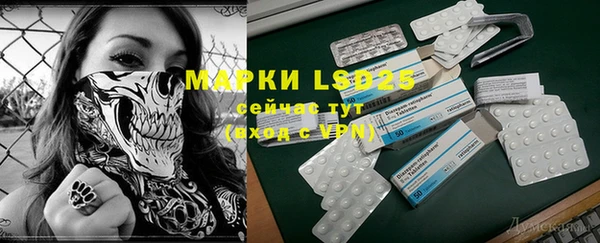 ПСИЛОЦИБИНОВЫЕ ГРИБЫ Куйбышев