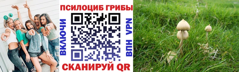 Купить закладки Ленинск-Кузнецкий Псилоцибиновые грибы Magic Shrooms