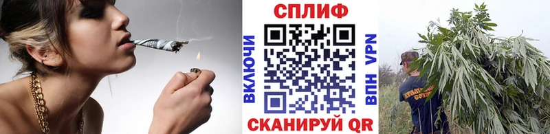 Канабис Amnesia  Купить закладки  Ленинск-Кузнецкий 